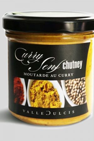 Chutney charity wordpress theme