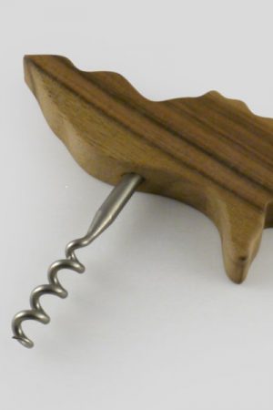 Corkscrew charity wordpress theme