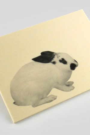 Wood postcard charity wordpress theme